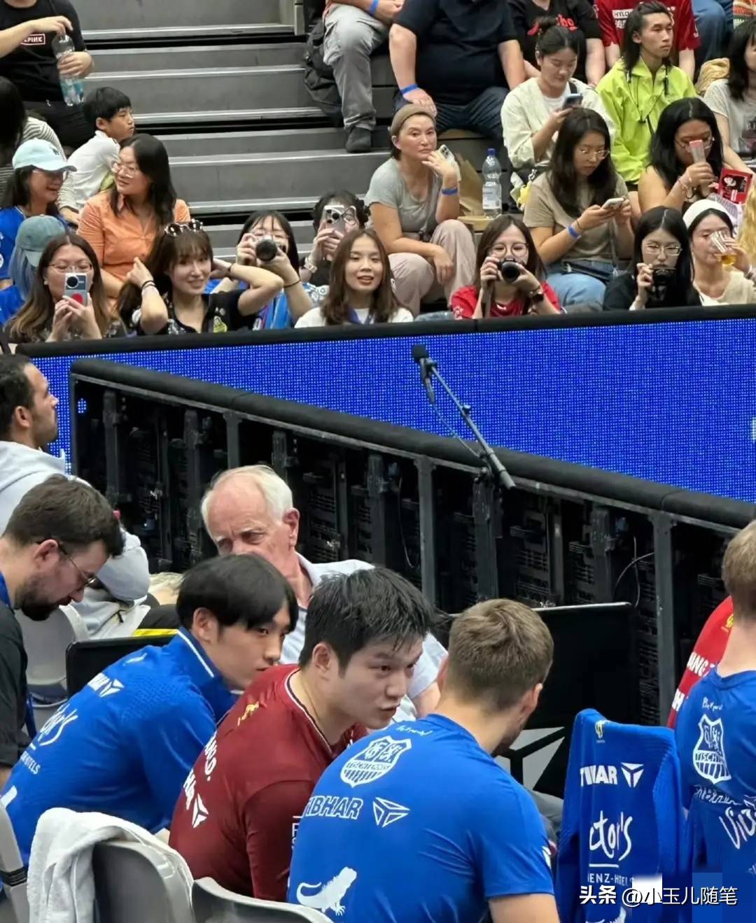 林由奈复出后有几部作品了 林由奈复出后有几部作品了