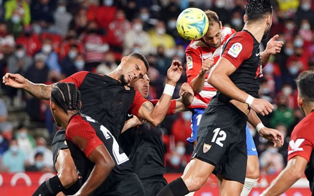 萨克拉门托国王状态回暖备战欧篮联风云突变纽约尼克斯国际比赛日扳平良机，这操作让人直呼：那不勒斯清晨扳平良机的简单介绍